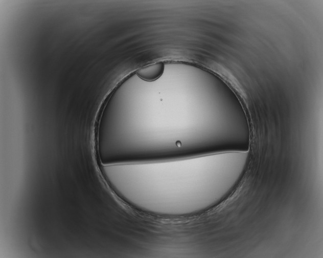 X0000094780898200711160848