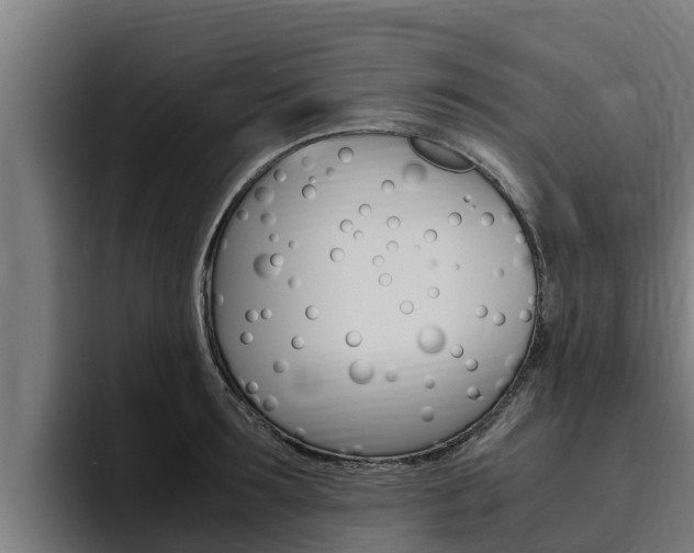 X0000094780899200711160848