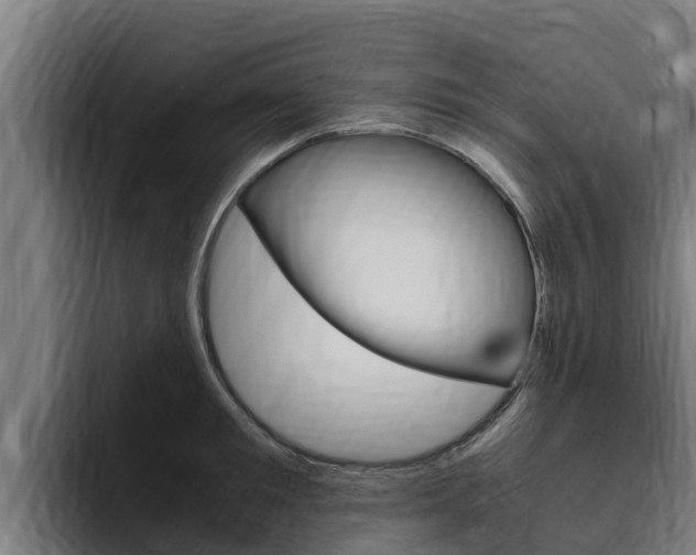 X0000094780901200711160848