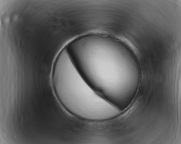 X0000094780902200711160848