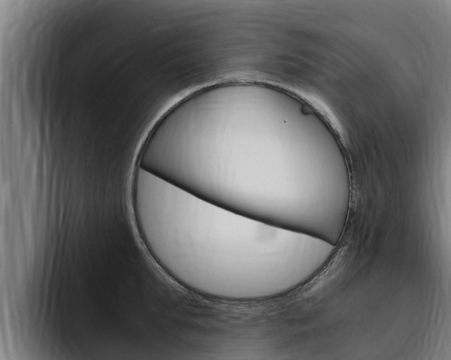 X0000094780903200711160848