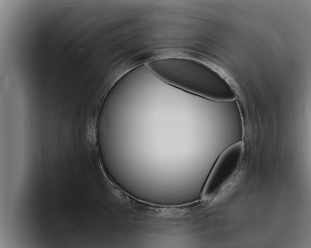 X0000094780905200711160848