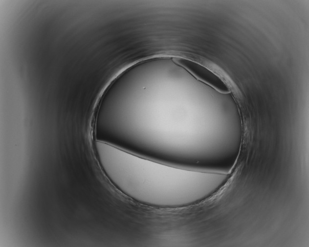 X0000094780908200711160848