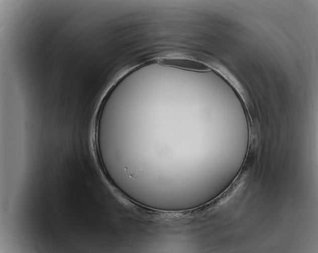 X0000094780909200711160848