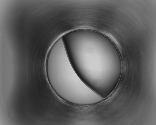 X0000094780910200711160848