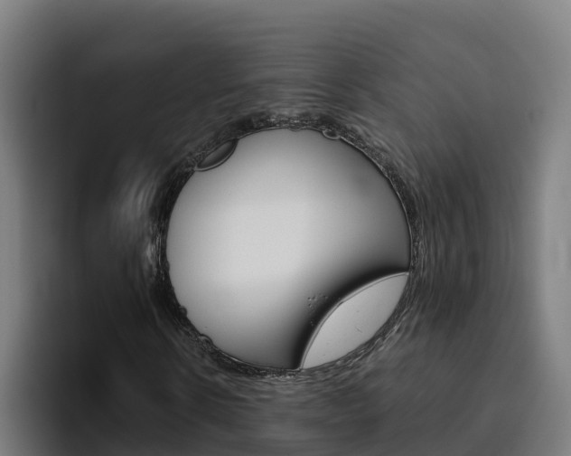 X0000094780914200711160847