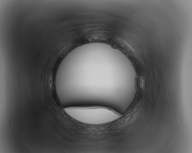 X0000094780915200711160847