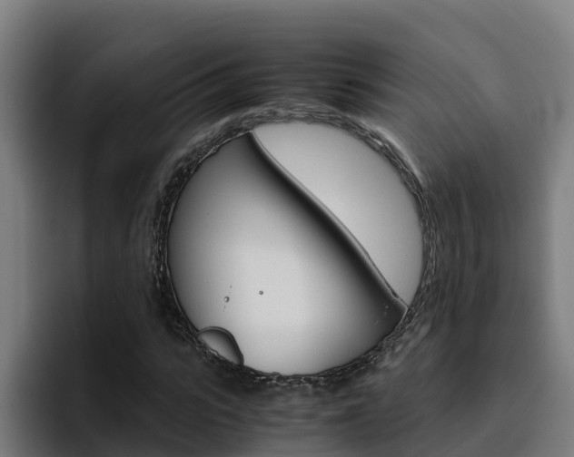 X0000094780919200711160847