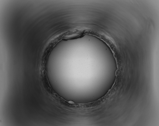 X0000094780920200711160847