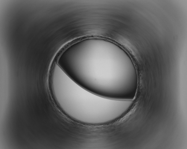 X0000094780924200711160847