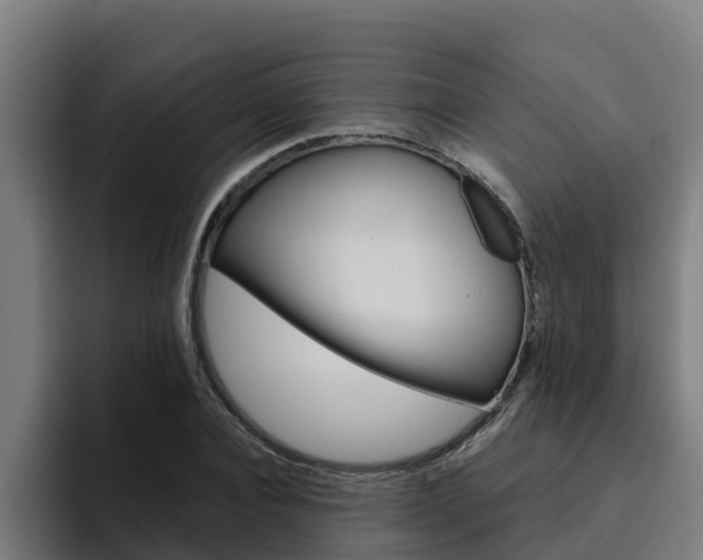 X0000094780928200711160847