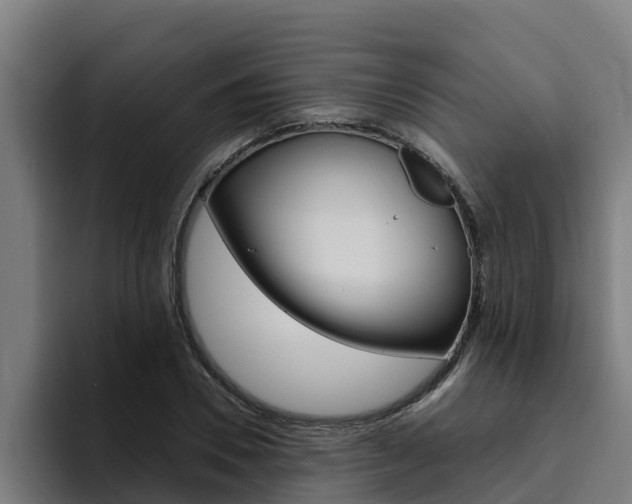 X0000094780930200711160847