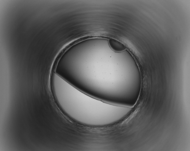 X0000094780932200711160847