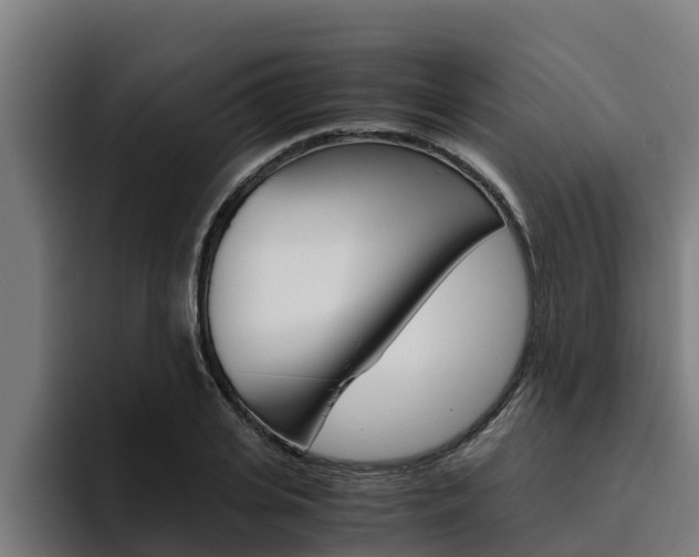 X0000094780935200711160847