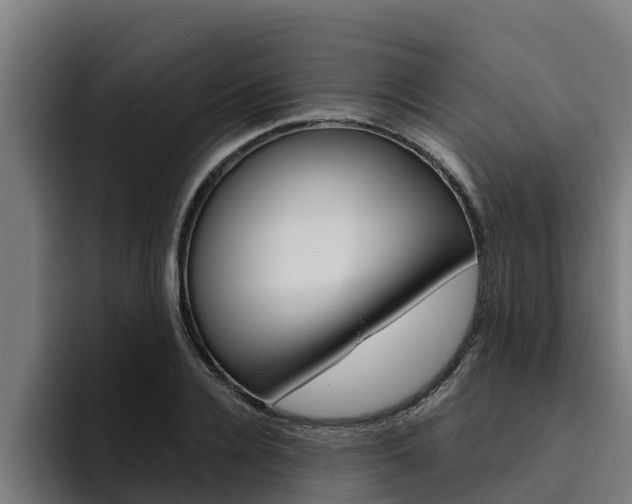 X0000094780936200711160847