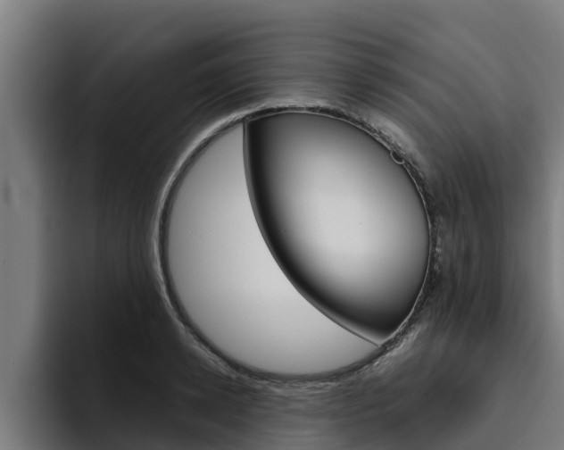 X0000094780942200711160847