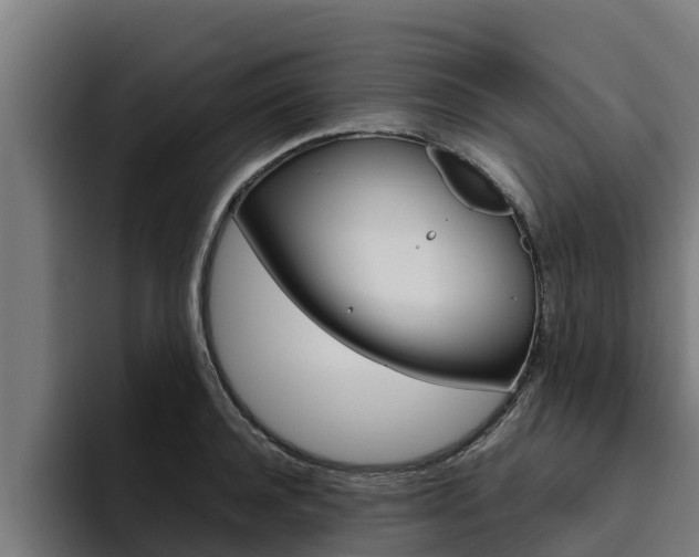 X0000094780944200711160847