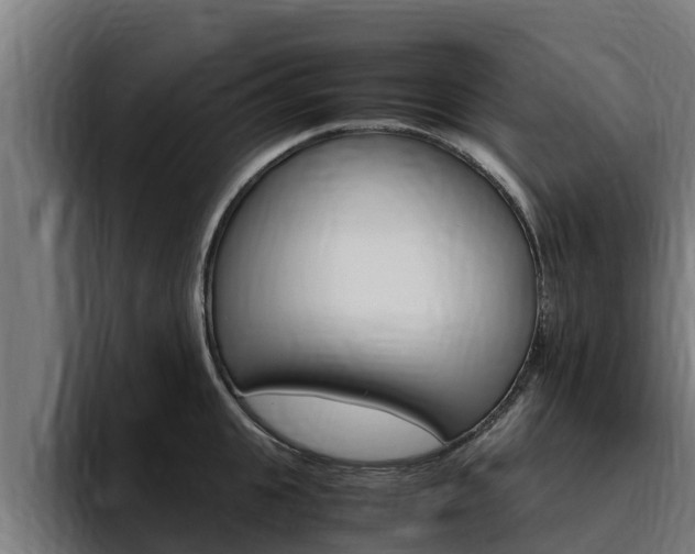 X0000094780951200711160847