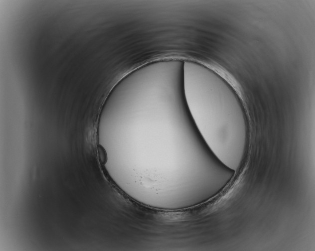 X0000094780953200711160847