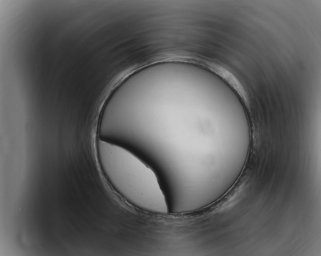 X0000094780954200711160847