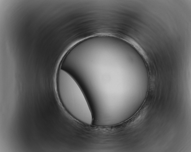 X0000094780955200711160847