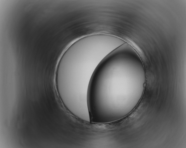 X0000094780956200711160848