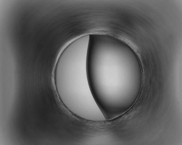 X0000094780960200711160848