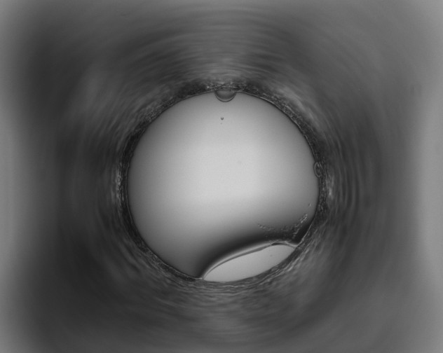 X0000094780964200711160847
