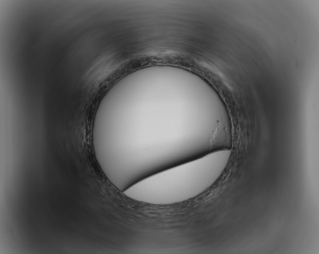 X0000094780966200711160847