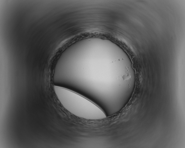 X0000094780968200711160847