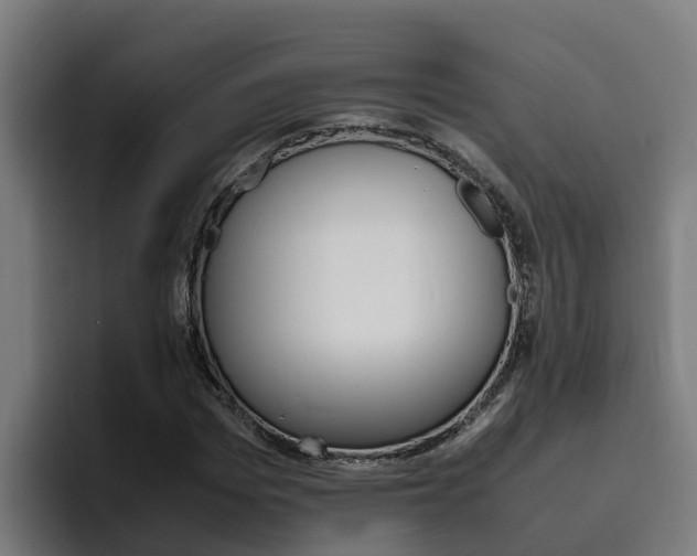 X0000094780969200711160847