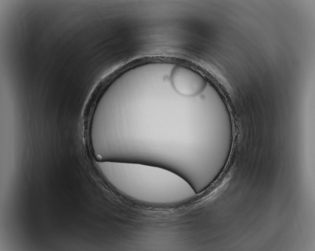 X0000094780974200711160847