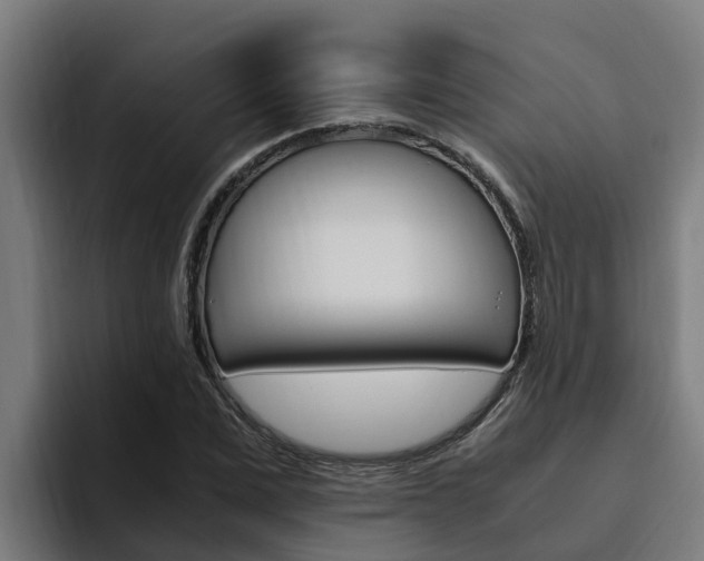 X0000094780975200711160847