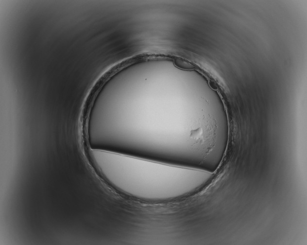 X0000094780976200711160847