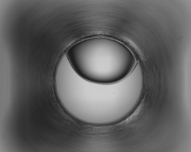 X0000094780977200711160847