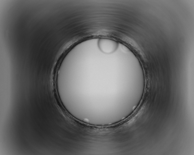 X0000094780978200711160847