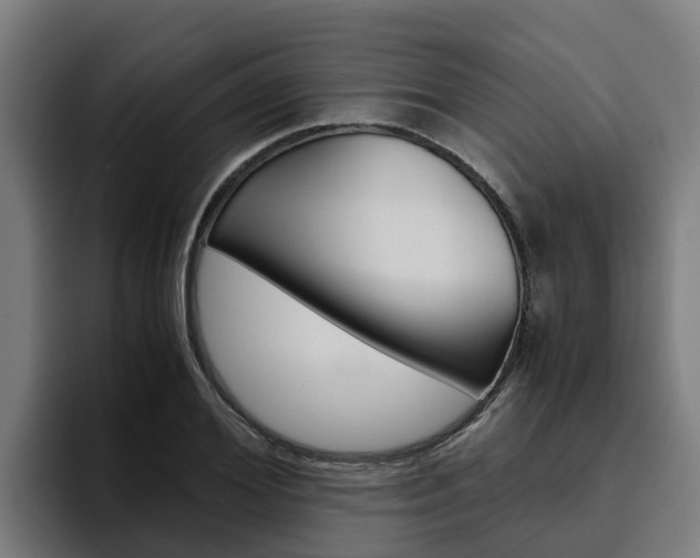 X0000094780980200711160847