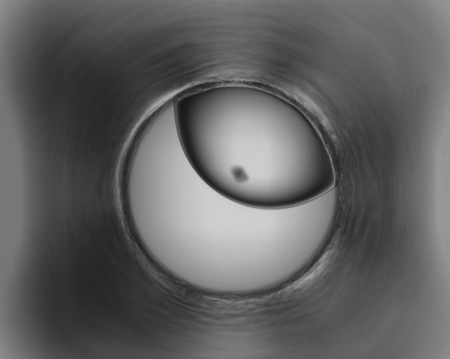 X0000094780981200711160847