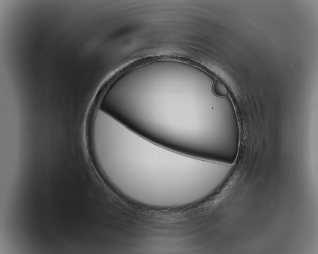 X0000094780983200711160847