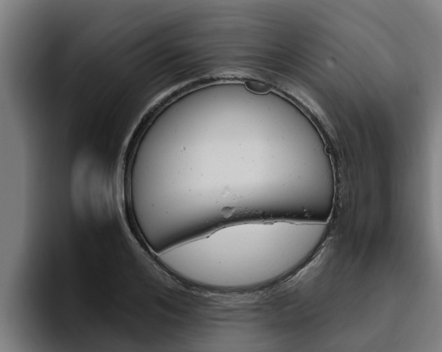 X0000094780984200711160847