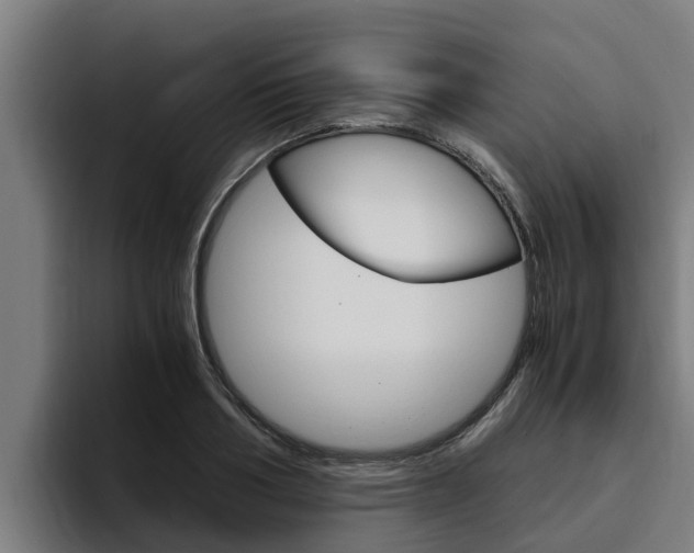 X0000094780986200711160847
