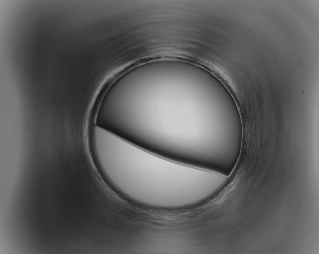 X0000094780987200711160847