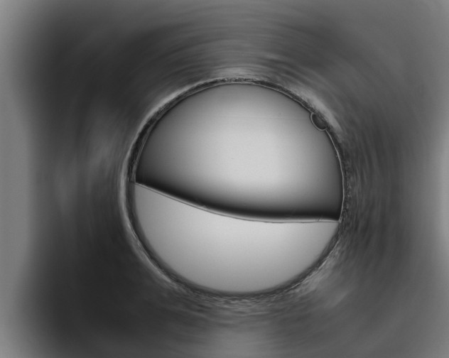 X0000094780991200711160847