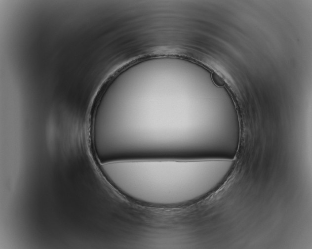 X0000094780992200711160847