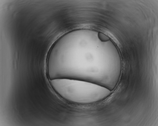 X0000094780994200711160847