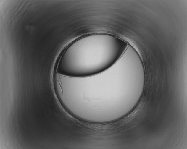 X0000094780995200711160846