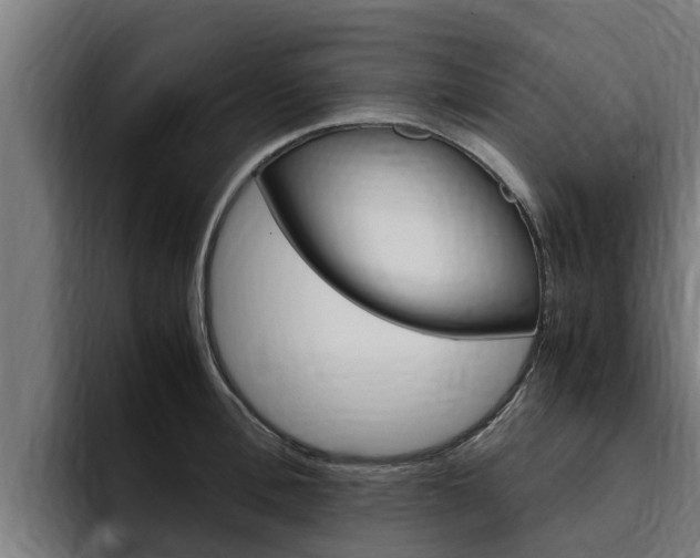 X0000094780996200711160846