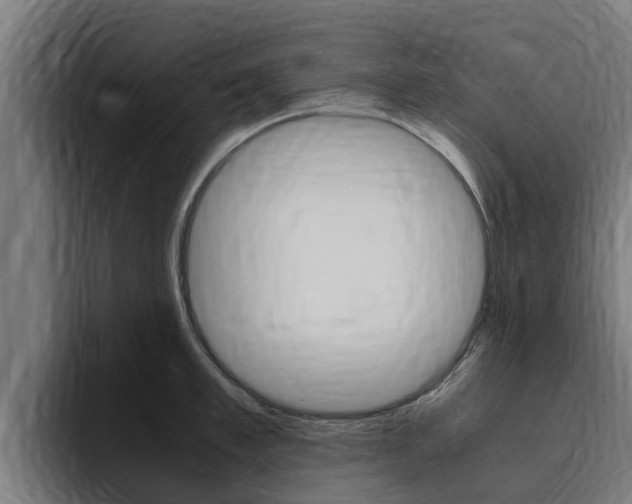 X0000094780997200711160846