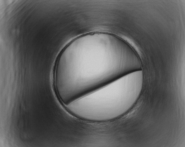 X0000094780999200711160846