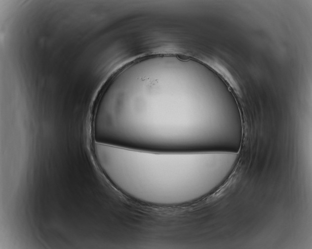 X0000094781000200711160846